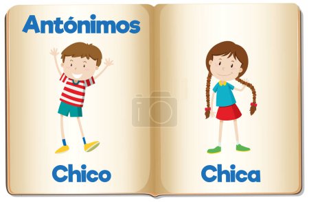 Téléchargez les illustrations : Cartes de mots illustrées en espagnol pour l'enseignement des antonymes - en licence libre de droit