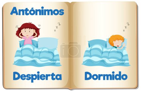 Illustration for Vector cartoon illustration of Spanish words Despierta and Dormido meaning awake and asleep - Royalty Free Image
