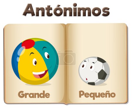 Illustration for A vector cartoon illustration of big and small words in Spanish language education - Royalty Free Image