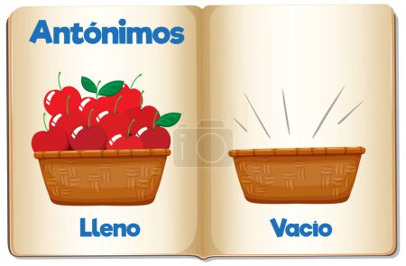 Illustration for A vector cartoon illustration of high and low in Spanish - Royalty Free Image