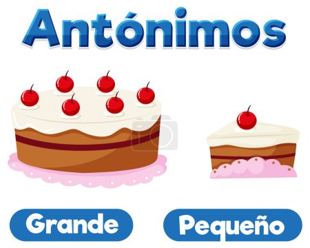 Illustration for Vector cartoon illustration of antonyms in Spanish language means big and small - Royalty Free Image