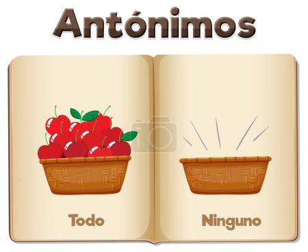 Illustration for A vector cartoon illustration of antonym word cards in Spanish means all and none - Royalty Free Image