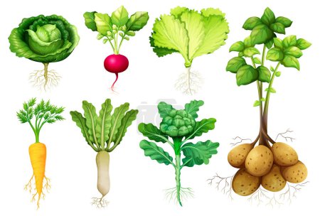 Téléchargez les illustrations : Illustration de dessin animé vectoriel vibrant mettant en vedette une variété de légumes racines comestibles - en licence libre de droit