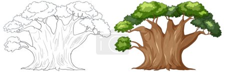 Vector graphic of a tree, outlined and fully colored