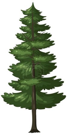 Téléchargez les illustrations : Graphique vectoriel d'un grand pin à feuilles persistantes - en licence libre de droit