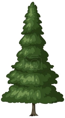 Vector graphic of a single evergreen pine tree
