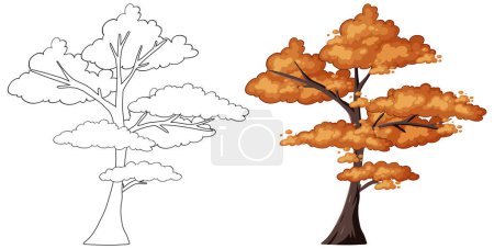 Téléchargez les illustrations : Graphique vectoriel d'un arbre en deux étapes saisonnières - en licence libre de droit