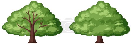 Téléchargez les illustrations : Deux arbres verts vibrants avec des feuilles détaillées - en licence libre de droit