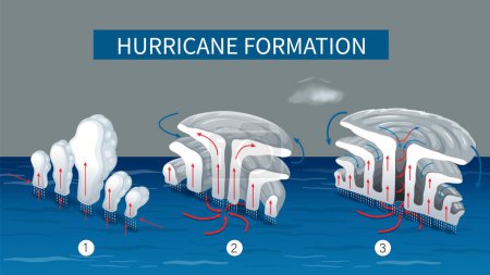Ilustración que muestra el proceso de formación de huracanes