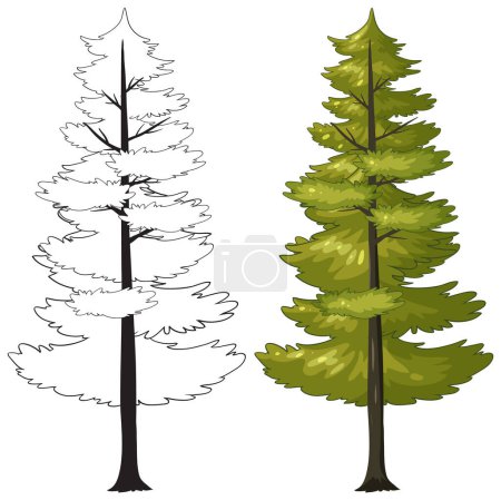 Illustration for Black and white outline next to colored tree - Royalty Free Image