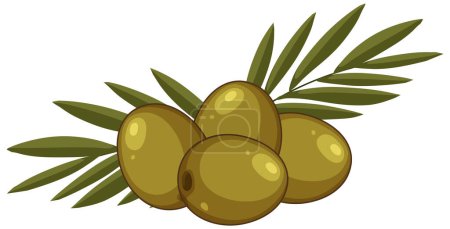 Vector graphic of ripe olives with green leaves
