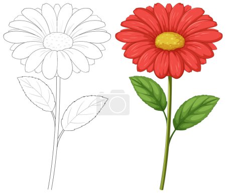 Téléchargez les illustrations : Illustration vectorielle d'une fleur en deux étapes. - en licence libre de droit