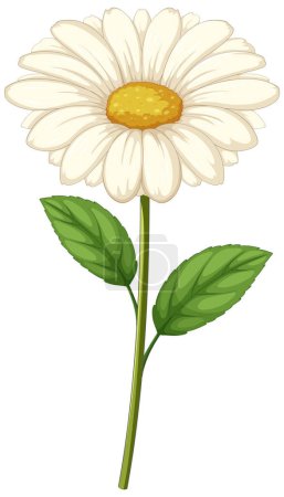 Téléchargez les illustrations : Un vecteur détaillé d'une seule fleur de marguerite - en licence libre de droit