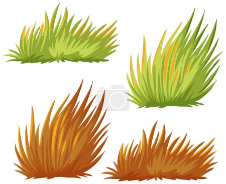 Quatre touffes d'herbe représentant différentes saisons.