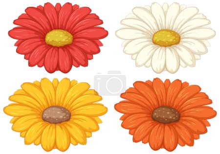 Téléchargez les illustrations : Quatre marguerites vibrantes avec différentes couleurs illustrées. - en licence libre de droit