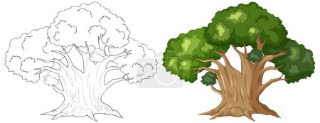 Téléchargez les illustrations : Illustration d'un arbre, de l'art linéaire à la couleur - en licence libre de droit