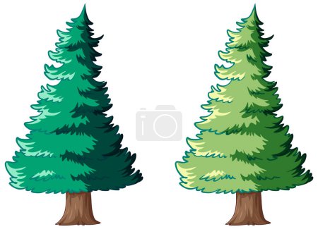 Téléchargez les illustrations : Deux arbres à feuilles persistantes stylisés dans un format vectoriel. - en licence libre de droit