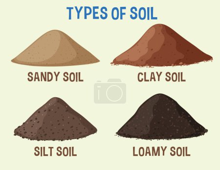 Ilustración de Ilustración que representa cuatro variedades de tipos de suelo - Imagen libre de derechos