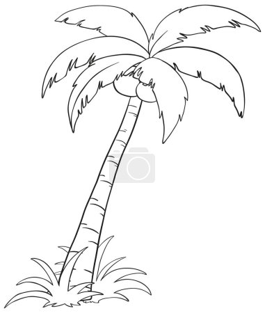 Illustration for Black and white line art of a palm tree. - Royalty Free Image