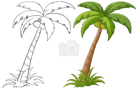 Two stages of palm tree illustration, black and white and colored.