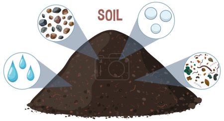 Ilustración que muestra varios componentes del suelo.