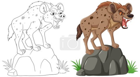 Téléchargez les illustrations : Deux hyènes agressives illustrées sur des pierres séparées - en licence libre de droit