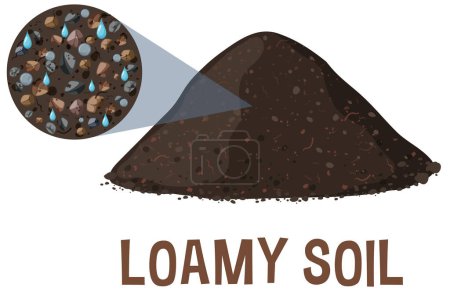 Vector illustration of a cross-section of loamy soil