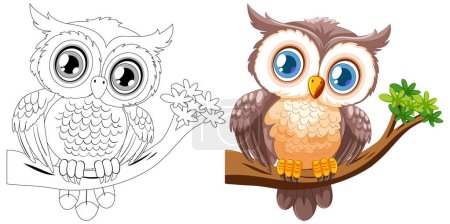 Colorful and black and white owl illustrations.