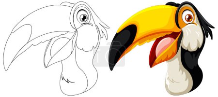 Ilustración de Arte vectorial de un tucán, antes y después de colorear. - Imagen libre de derechos