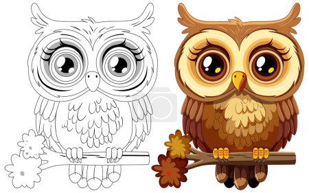 Illustration for Vector illustration of an owl, colored and line art. - Royalty Free Image
