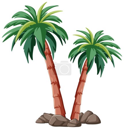 Téléchargez les illustrations : Deux palmiers aux feuilles vertes et troncs bruns. - en licence libre de droit