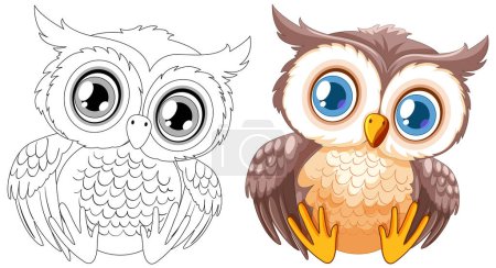 Illustration for Vector illustration of an owl, colored and line art. - Royalty Free Image