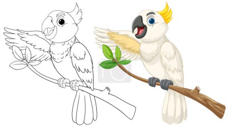 Illustration for Vector graphic of two parrots, one colored, one outlined. - Royalty Free Image