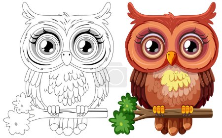 Vector illustration of an owl, colored and line art