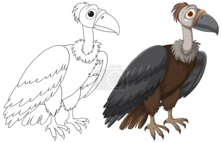 Téléchargez les illustrations : Illustration vectorielle d'un vautour, avant et après coloration. - en licence libre de droit