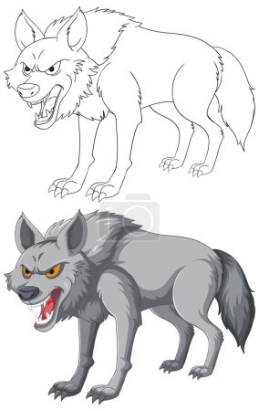 Illustration for Two images of a wolf, one colored and one line art. - Royalty Free Image