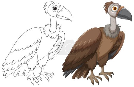 Vector illustration of a vulture, sketched and colored