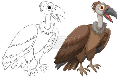 Téléchargez les illustrations : Illustration vectorielle d'un vautour, coloré et contour. - en licence libre de droit