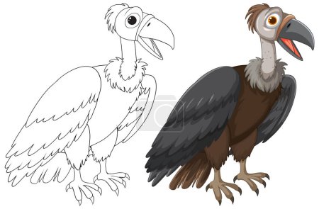 Téléchargez les illustrations : Graphique vectoriel d'un vautour, illustré en deux étapes. - en licence libre de droit