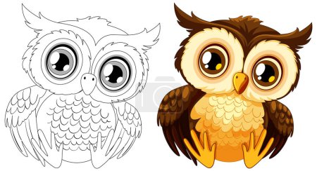 Vector illustration of an owl, colored and line art