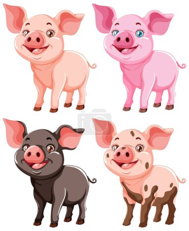 Four cute pigs illustrated in various poses.
