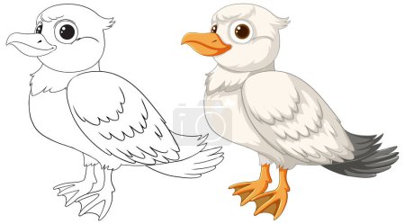 Téléchargez les illustrations : Illustration vectorielle d'un canard, coloré et contour - en licence libre de droit