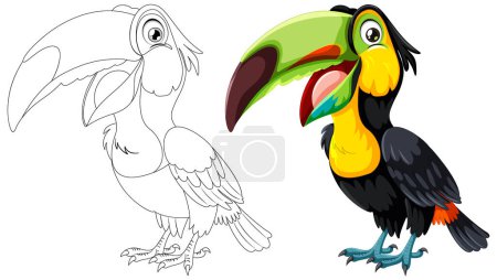 Téléchargez les illustrations : Illustration vectorielle d'un toucan vibrant et de son croquis. - en licence libre de droit