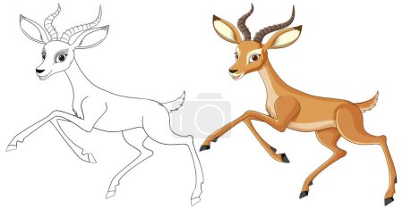 Téléchargez les illustrations : Illustration vectorielle de deux gazelles, l'une colorée, l'autre tracée. - en licence libre de droit