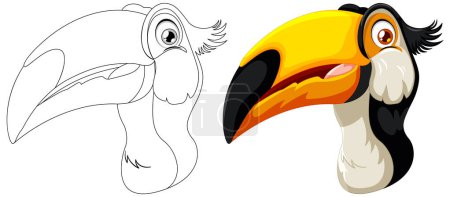 Illustration for Vector art of a toucan, both colored and line art. - Royalty Free Image