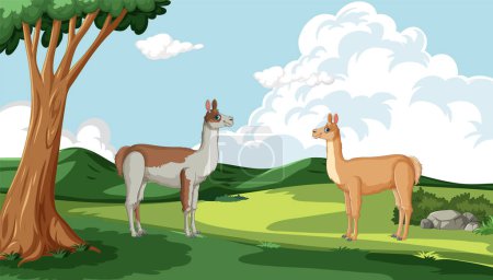 Two llamas standing in a peaceful green field