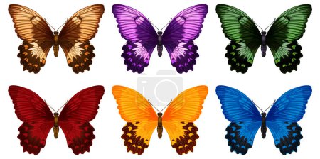 Eight vibrant butterflies in various colors
