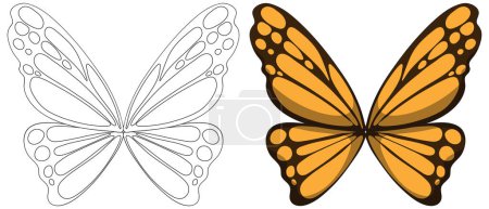 Téléchargez les illustrations : Illustration vectorielle d'un papillon, coloré et contour - en licence libre de droit