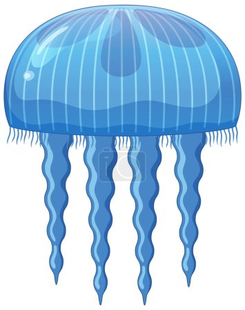 Detailed vector of a jellyfish lifecycle