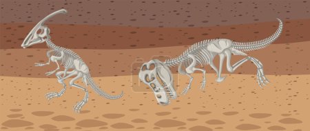 Vector illustration of two dinosaur skeletons